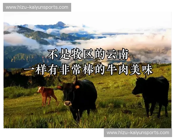 橙色风暴席卷草原：当“全攻全守”遇见“游牧铁骑”的终极较量